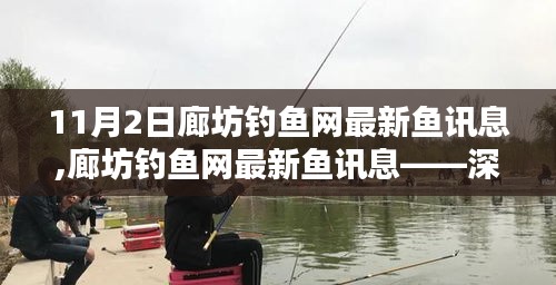 廊坊钓鱼网最新鱼讯动态揭秘，深度解析三大要点，带你掌握钓鱼新资讯！