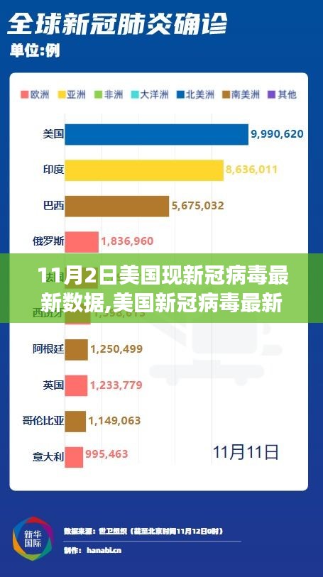 美国新冠病毒最新数据报告，11月2日的关键观察与影响分析