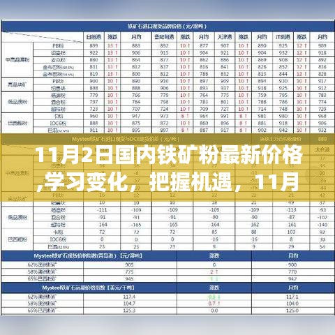 11月2日国内铁矿粉最新价格的启示，学习变化，把握机遇