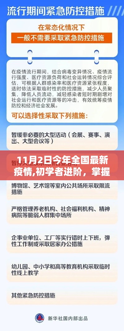 全国最新疫情应对指南，初学者进阶，掌握应对步骤（以11月2日为例）