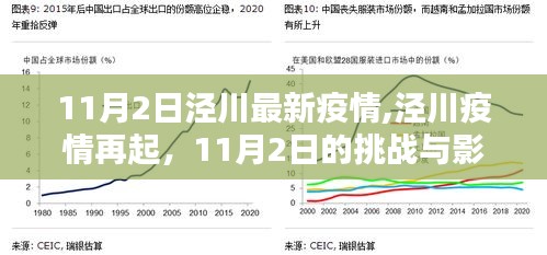 泾川疫情再起，11月2日的挑战与影响