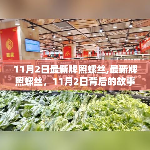 揭秘，最新牌照螺丝背后的故事与深远影响——11月2日报道