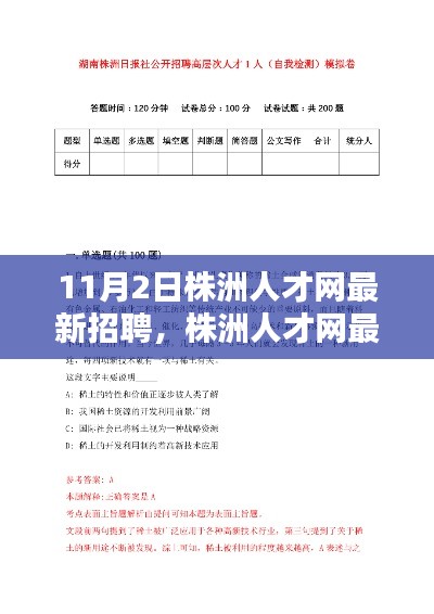 株洲人才网最新招聘测评报告（11月2日更新）