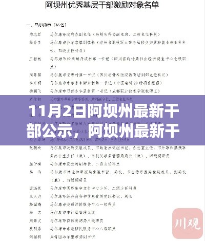 11月2日阿坝州最新干部公示公告解读与关注步骤指南，初学者与进阶用户必读