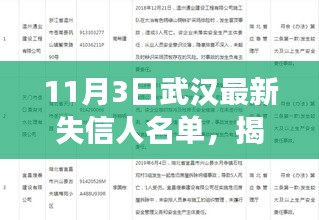 武汉失信人名单揭秘，小巷深处的特色小店背后的故事