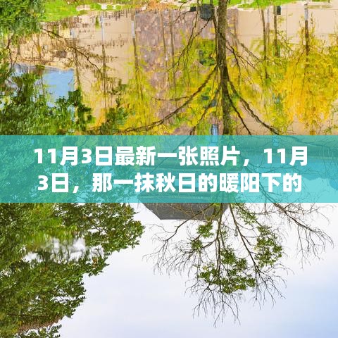 11月3日秋阳绝美瞬间，最新照片分享