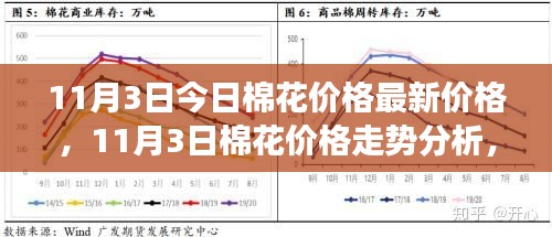 11月3日棉花价格走势分析，市场波动背后的因素与观点