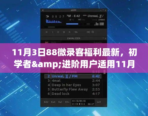 11月3日88微录客福利攻略，初学者与进阶用户必备指南