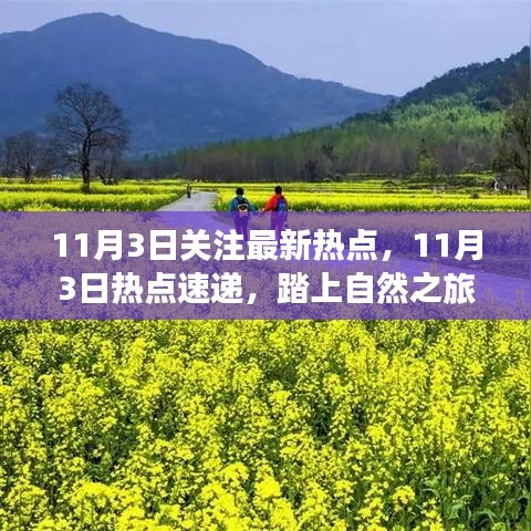 11月3日热点速递，踏上自然之旅，探寻内心桃花源