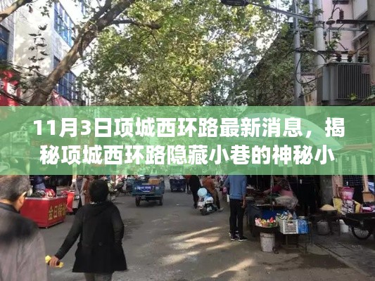 项城西环路美食探险之旅，揭秘隐藏小巷的神秘小店，最新消息一览