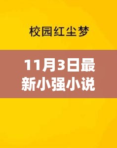 最新小强小说系列揭秘，11月3日最新篇章