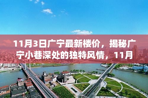 揭秘广宁最新楼价与小巷风情，特色小店探索之旅（11月3日更新）