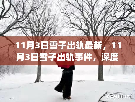 揭秘雪子出轨事件真相，深度解读与观点争议