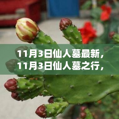 11月3日仙人墓之行，变化中的学习之旅，自信与成就感的启航