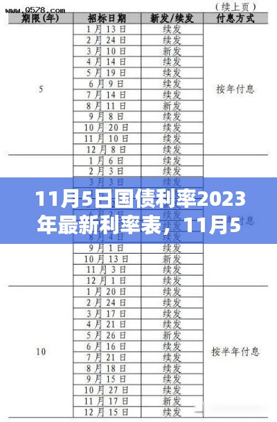 11月5日国债利率2023年最新利率表产品评测与介绍