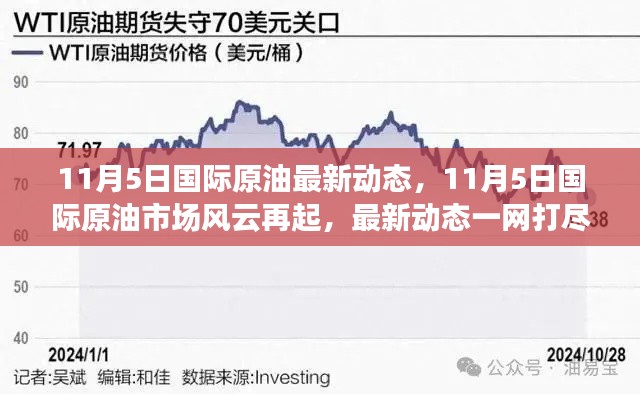 11月5日国际原油市场最新动态概览，风云再起