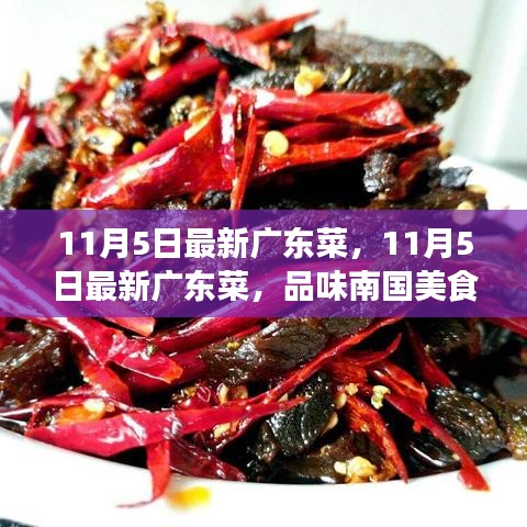 品味最新广东菜，南国美食的独特魅力探索之旅（11月5日更新）