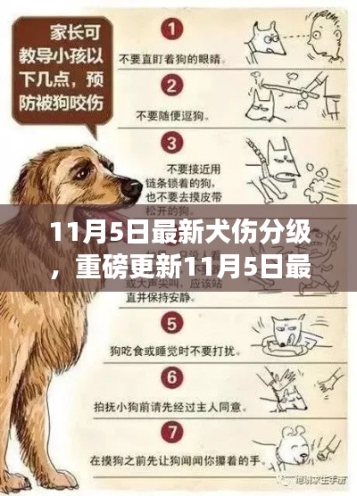 最新犬伤分级指南，保障你的安全不容忽视！