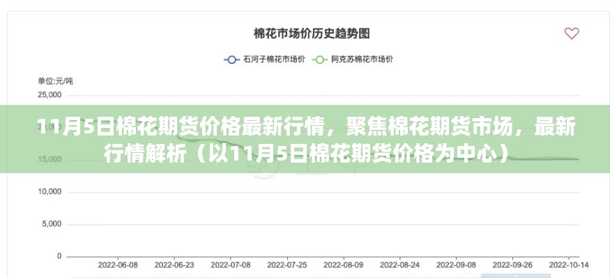 11月5日棉花期货价格行情解析，市场聚焦与最新动态