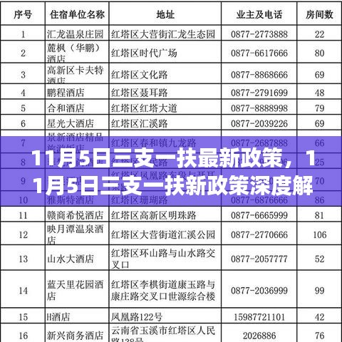 11月5日三支一扶最新政策深度解读，背景、影响与地位分析