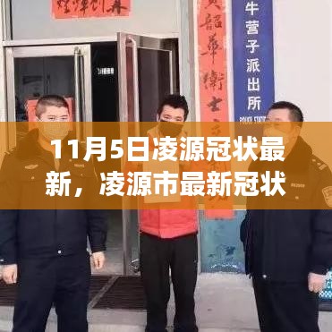 凌源市最新冠状病毒动态观察与分析，11月5日的观察与观点