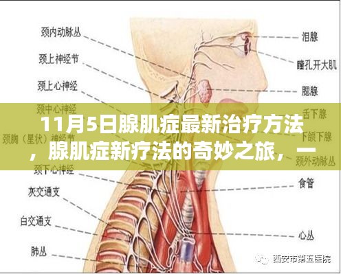 腺肌症最新治疗方法揭秘，爱与陪伴的治愈之旅