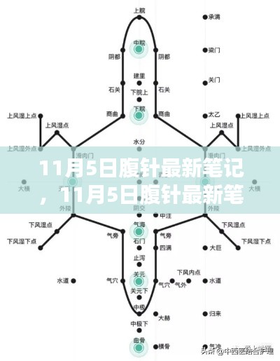 11月5日腹针最新笔记与产品评测介绍