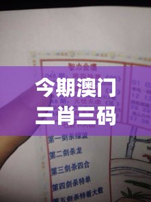 今期澳门三肖三码开一码,权宜解答解释落实_游戏版27.822