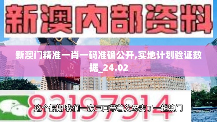 新澳门精准一肖一码准确公开,实地计划验证数据_24.02