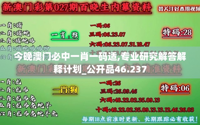 今晚澳门必中一肖一码适,专业研究解答解释计划_公开品46.237