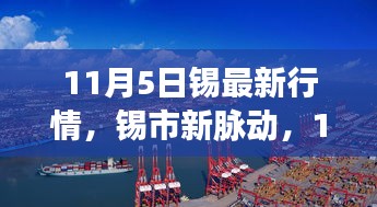 11月5日锡市新脉动，探索自然之旅，寻找内心宁静与微笑的力量