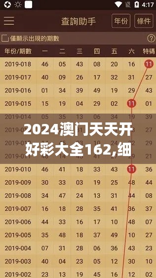 2024澳门天天开好彩大全162,细致研究执行策略_说明品77.298