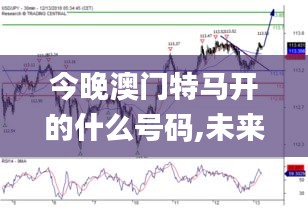 今晚澳门特马开的什么号码,未来解释趋势定义_官方版75.698