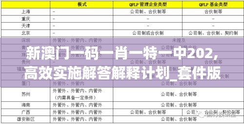 新澳门一码一肖一特一中202,高效实施解答解释计划_套件版22.667