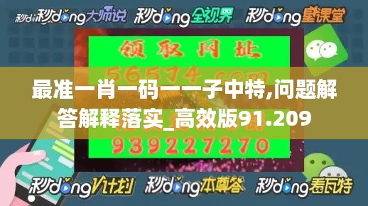 最准一肖一码一一子中特,问题解答解释落实_高效版91.209