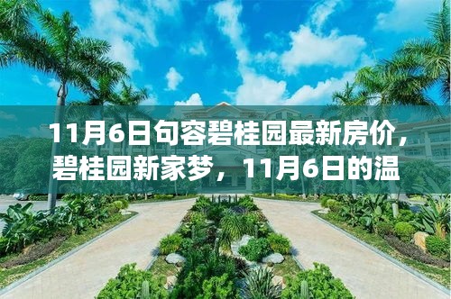 11月6日句容碧桂园最新房价揭晓，新家梦启航，温馨探房之旅启程