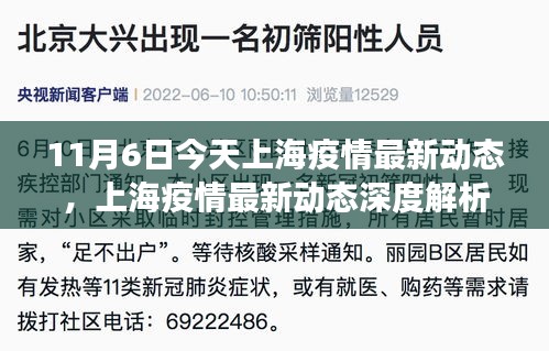 上海疫情最新动态深度解析及今日观察报告（11月6日）