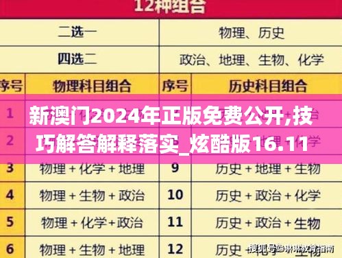 新澳门2024年正版免费公开,技巧解答解释落实_炫酷版16.113