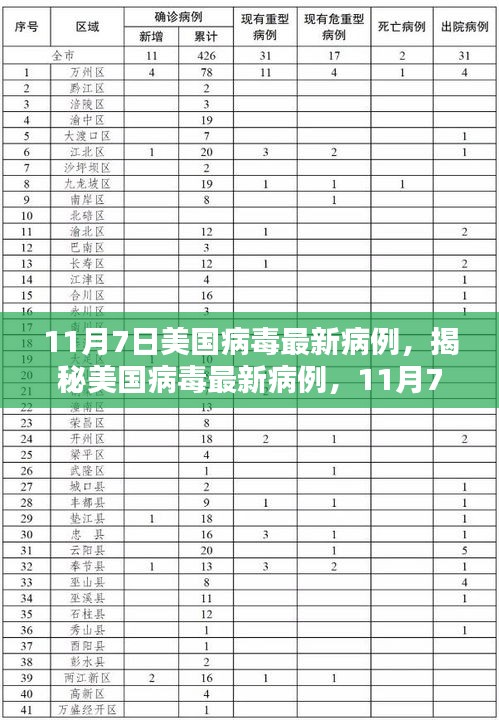 揭秘美国病毒最新病例，11月7日的回顾与影响分析