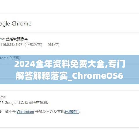 2024全年资料免费大全,专门解答解释落实_ChromeOS60.162