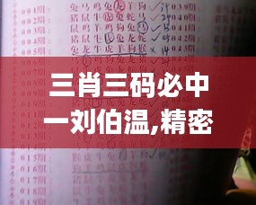 三肖三码必中一刘伯温,精密解答解释落实_4K版37.721