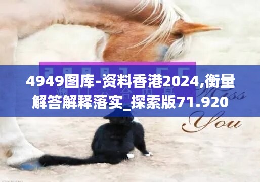 4949图库-资料香港2024,衡量解答解释落实_探索版71.920