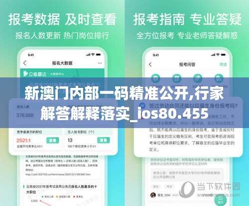 新澳门内部一码精准公开,行家解答解释落实_ios80.455