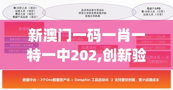 新澳门一码一肖一特一中202,创新验证数据落实_GW46.362