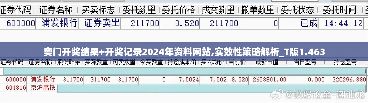 奥门开奖结果+开奖记录2024年资料网站,实效性策略解析_T版1.463