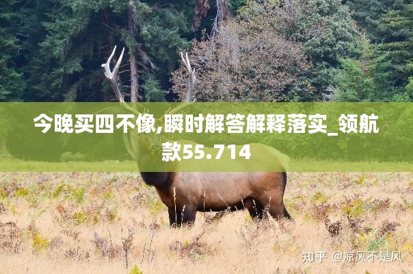 今晚买四不像,瞬时解答解释落实_领航款55.714