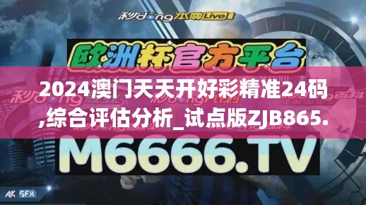 2024澳门天天开好彩精准24码,综合评估分析_试点版ZJB865.81