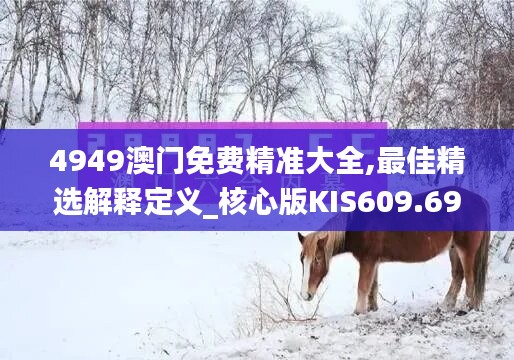 4949澳门免费精准大全,最佳精选解释定义_核心版KIS609.69