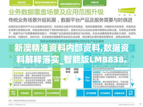 新澳精准资料内部资料,数据资料解释落实_智能版LMB838.82