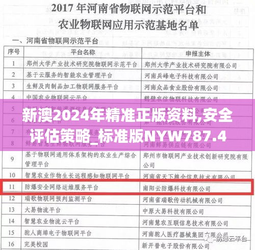 新澳2024年精准正版资料,安全评估策略_标准版NYW787.47